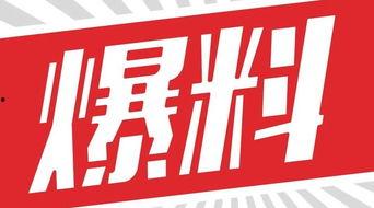 独家爆料素材,震惊内幕，揭秘某事件背后惊人真相！